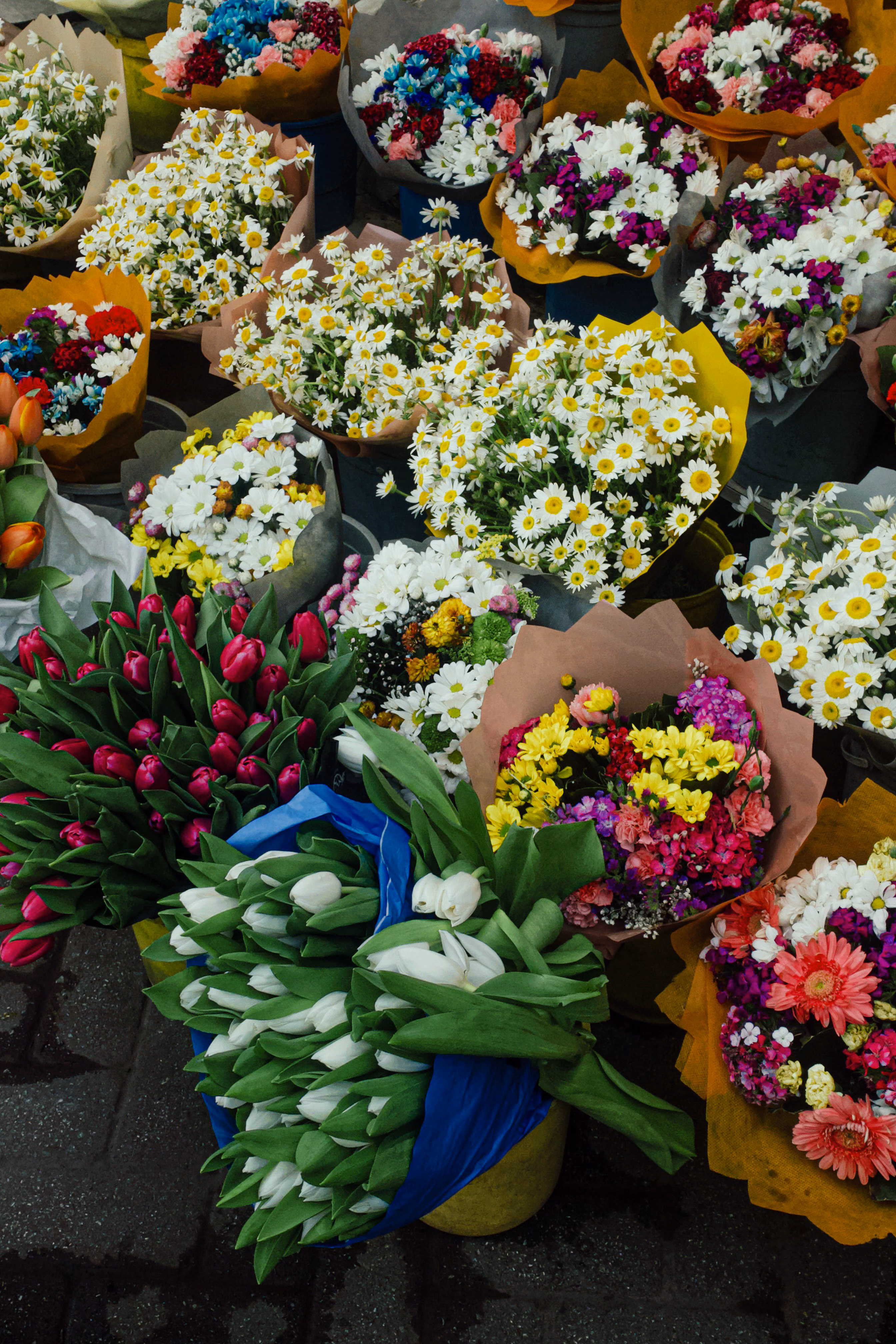Flower Power on Instagram 4