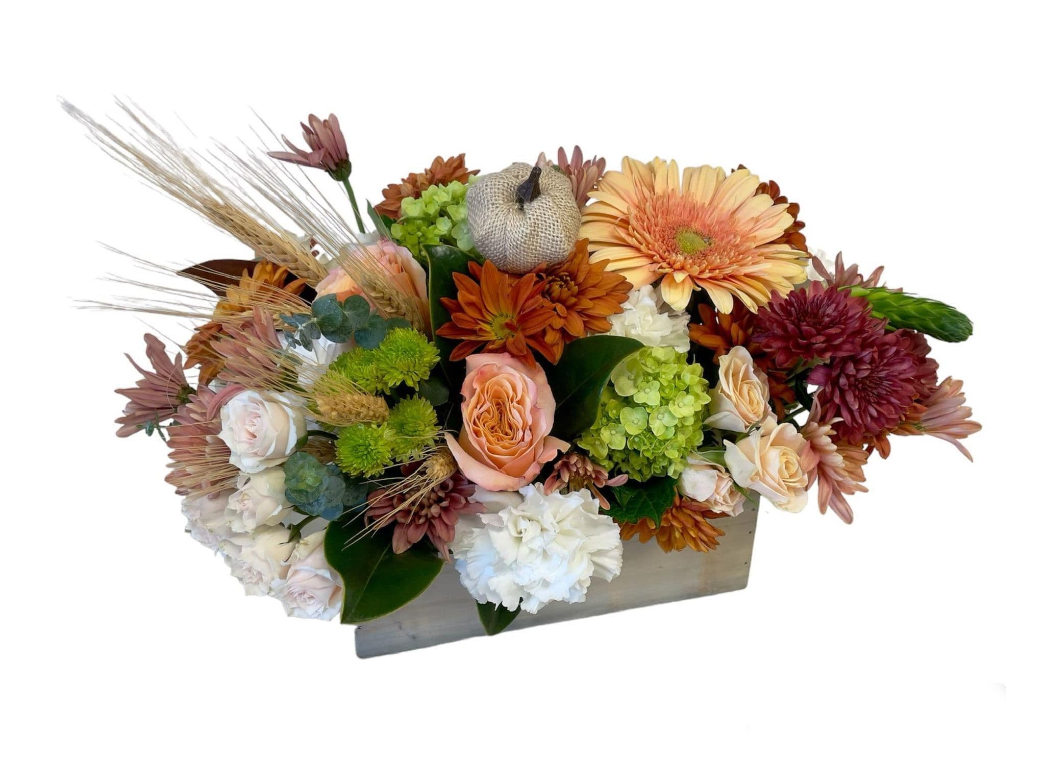 Autumn Harvest